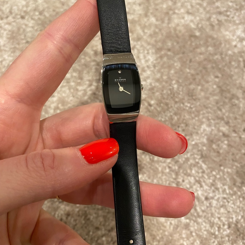 Skagen Watch